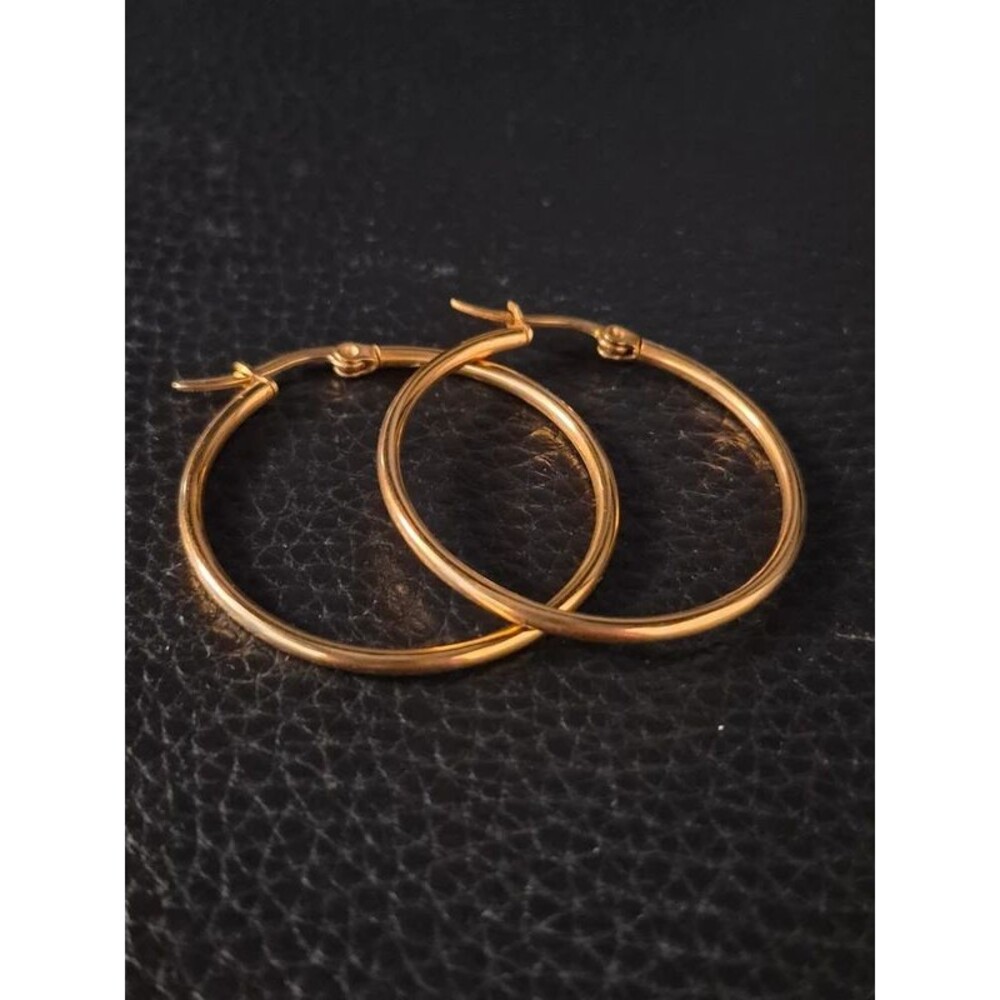 Gold Tone Hoop Earrings